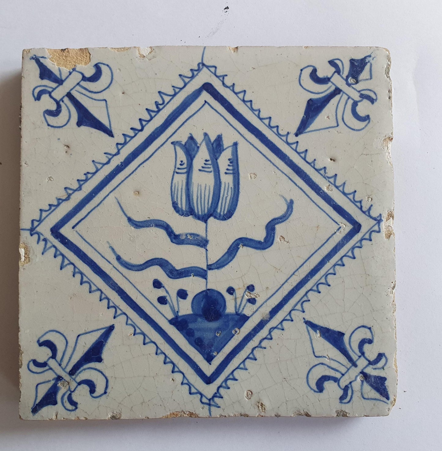 17th Century Dutch Delft Tile, Tulip Design