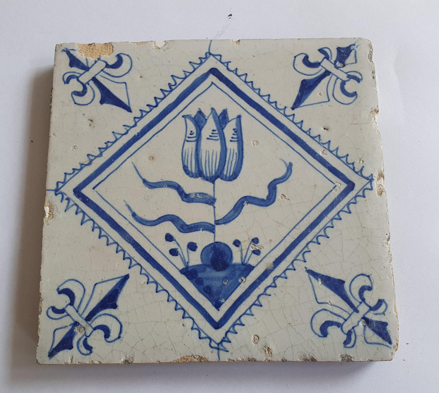 17th Century Dutch Delft Tile, Tulip Design