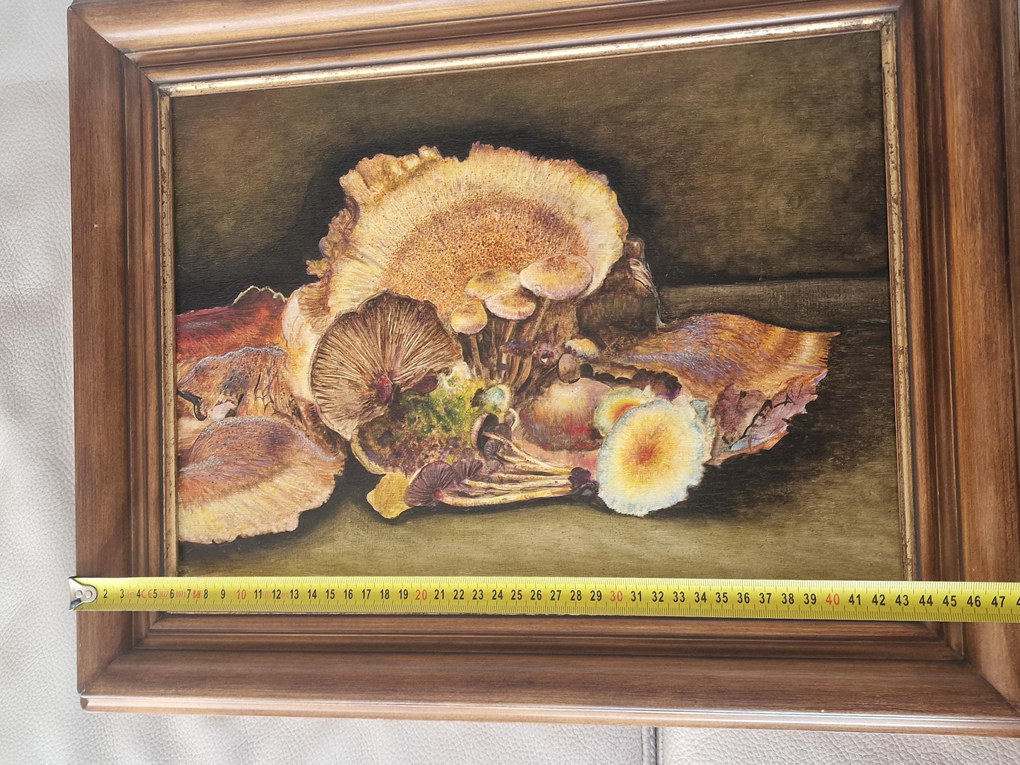 Vintage Mushroom Still Life Oil Painting, Signed Dutch Realism, Framed
