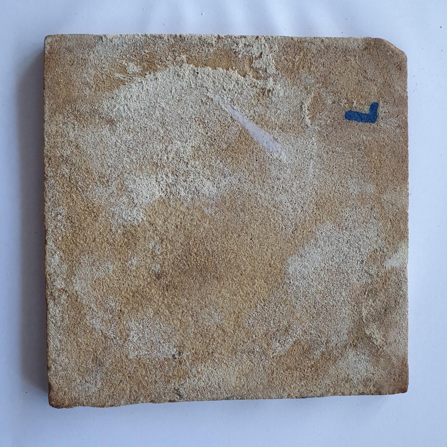 18th century Antique Dutch Tile - manganese bible  biblical tegel