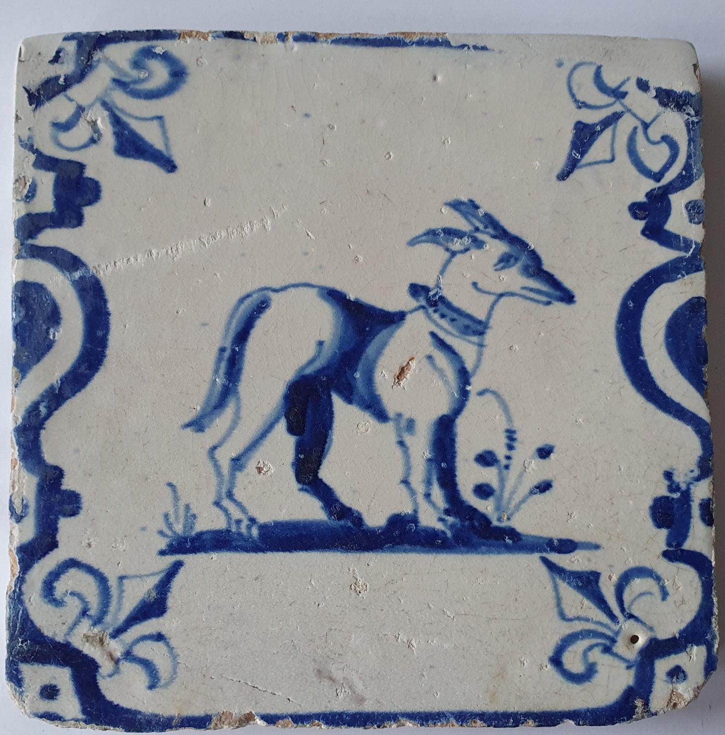 17th Century Dutch Delft Tile, Dog with Lily Corner Motive