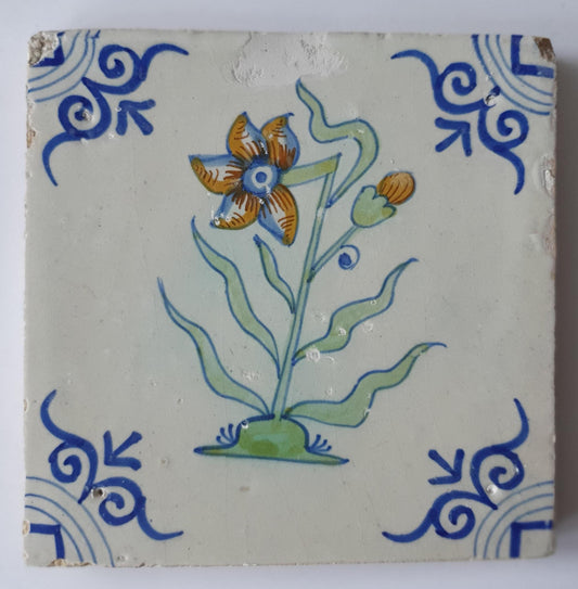 Antique Delft Tile - Polychrome Flower, Oxhead Motifs, c. 1630