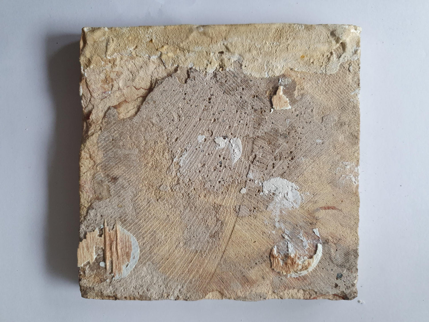 This rare Delft tile with dog .                around 1620
