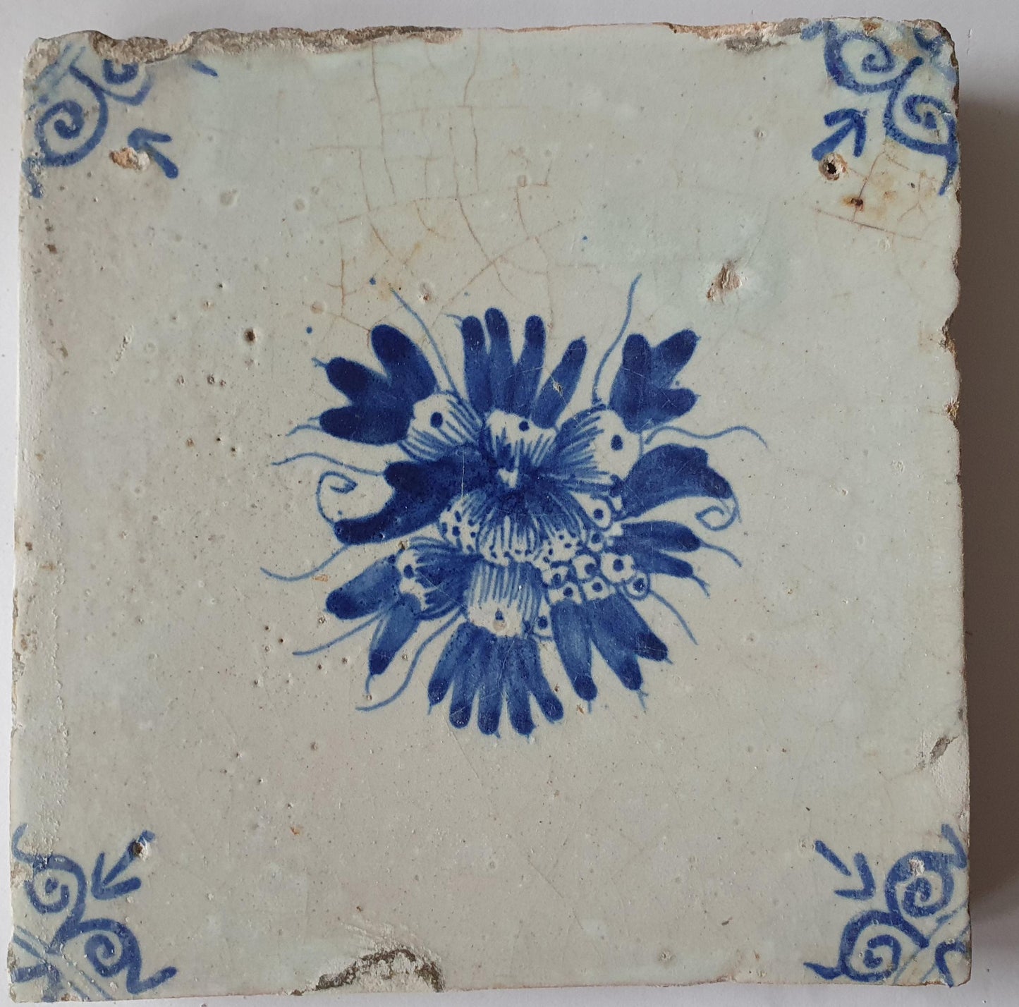 Antique Delft Tile, Fruit Motif, Oxhead Corners, c. 1630