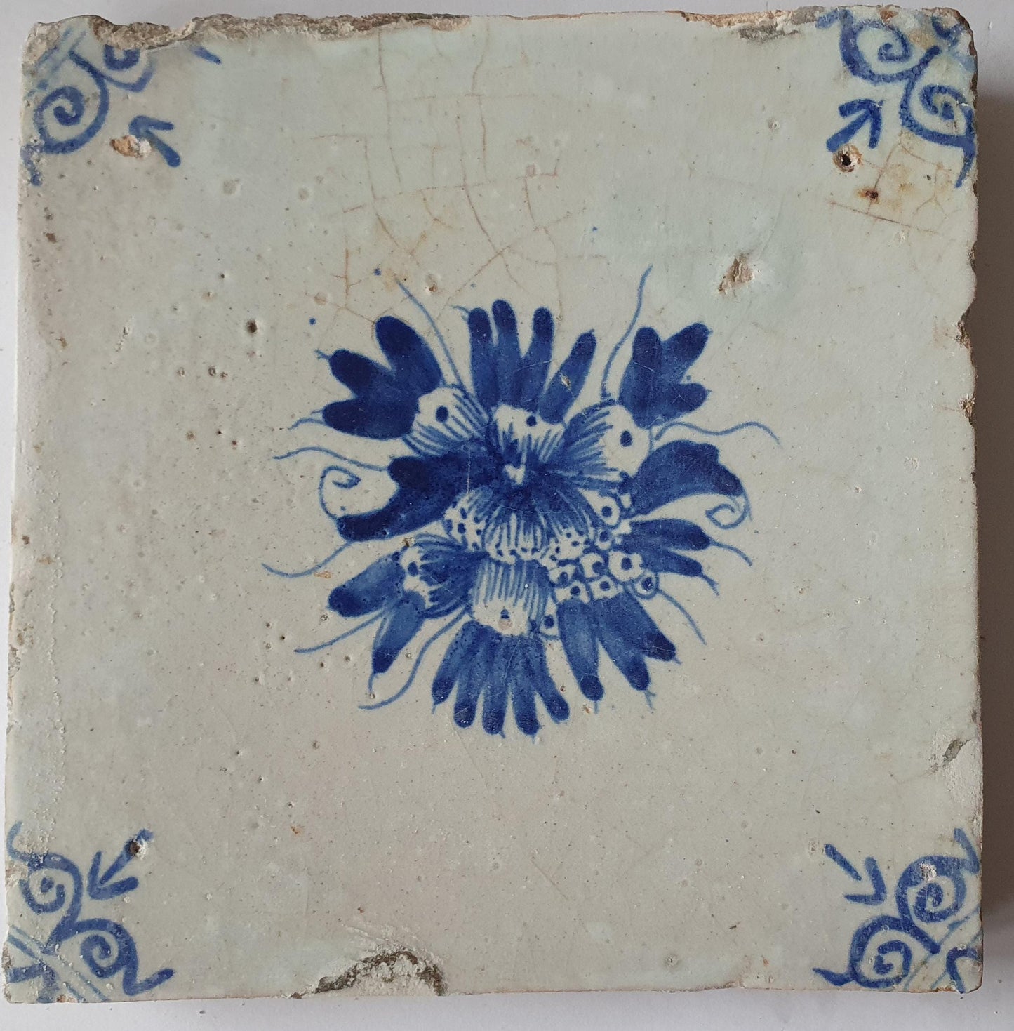 Antique Delft Tile, Fruit Motif, Oxhead Corners, c. 1630