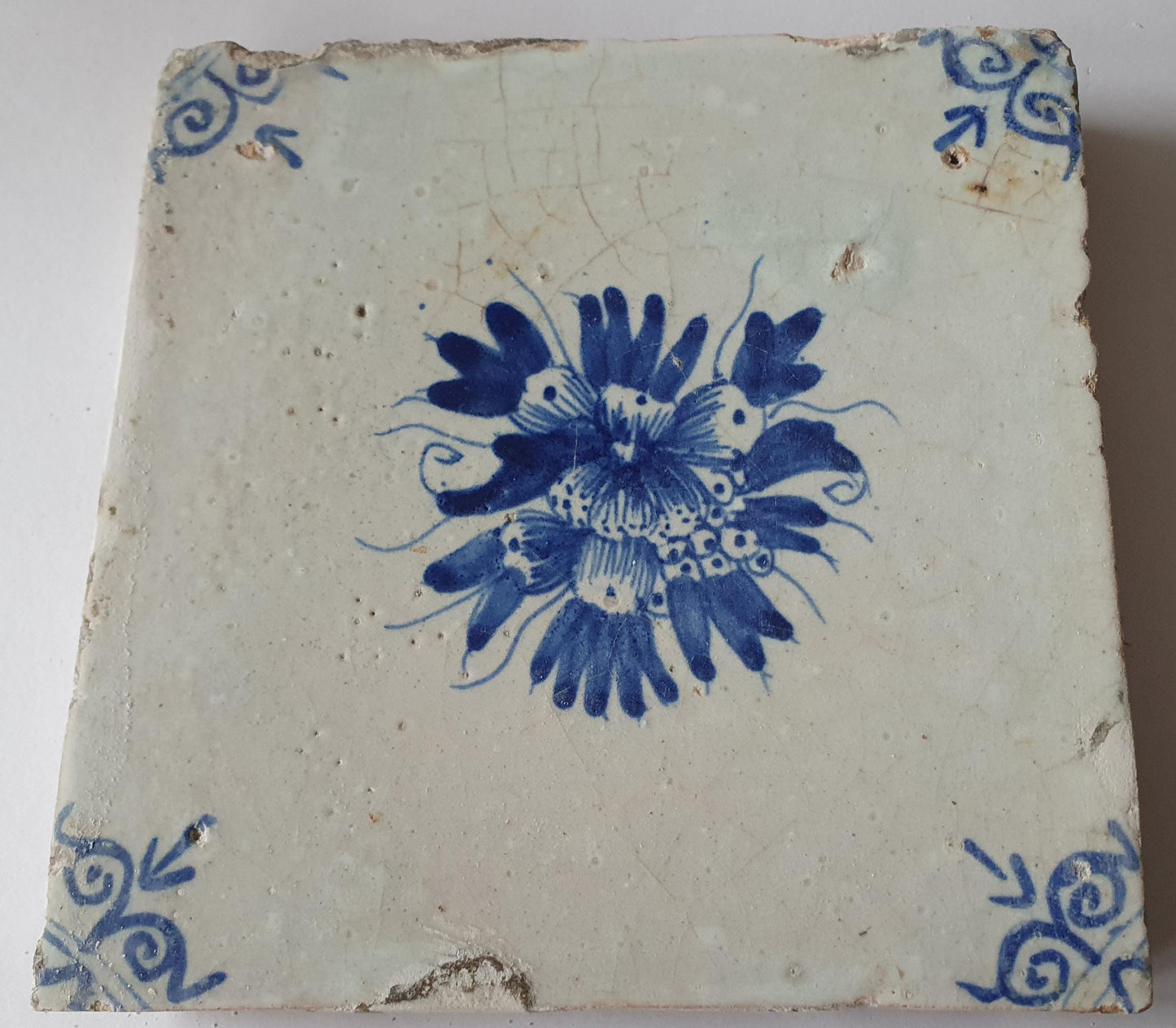 Antique Delft Tile, Fruit Motif, Oxhead Corners, c. 1630