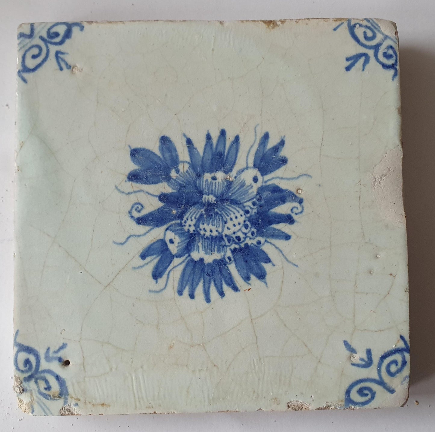 Antique Delft Tile, Fruits & Oxhead Motif, Circa 1630