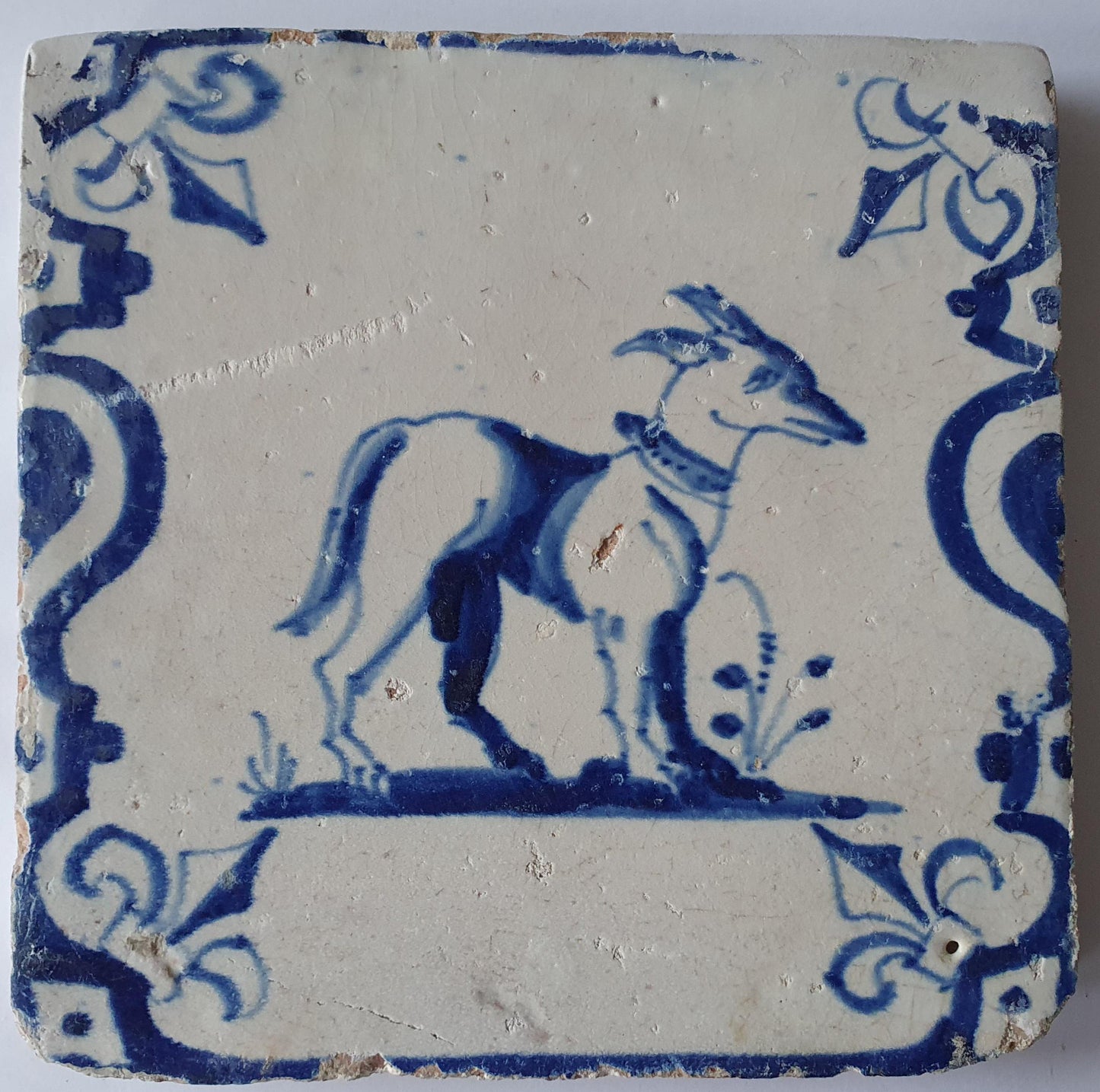 17th Century Dutch Delft Tile, Dog with Lily Corner Motive
