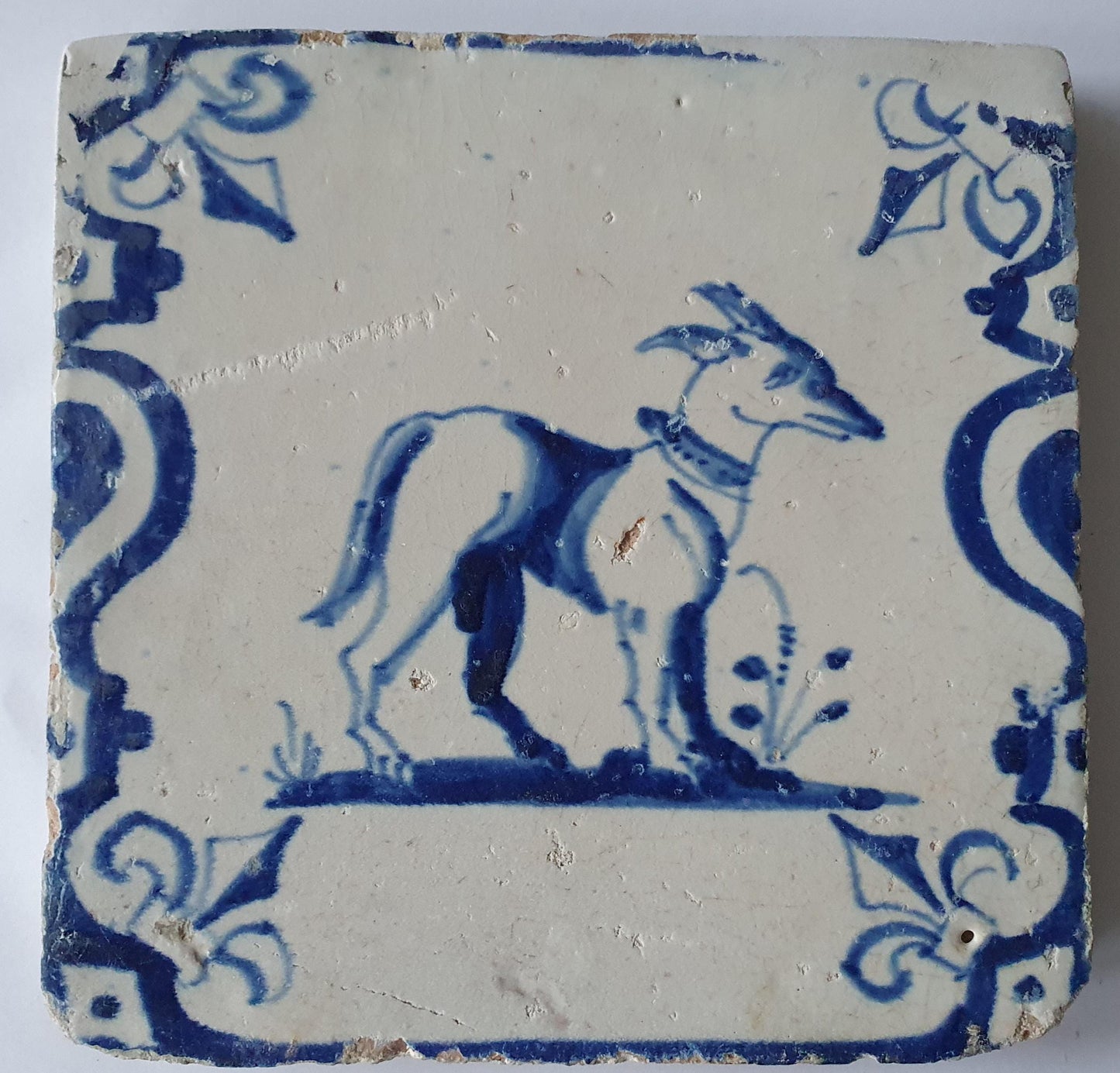 17th Century Dutch Delft Tile, Dog with Lily Corner Motive