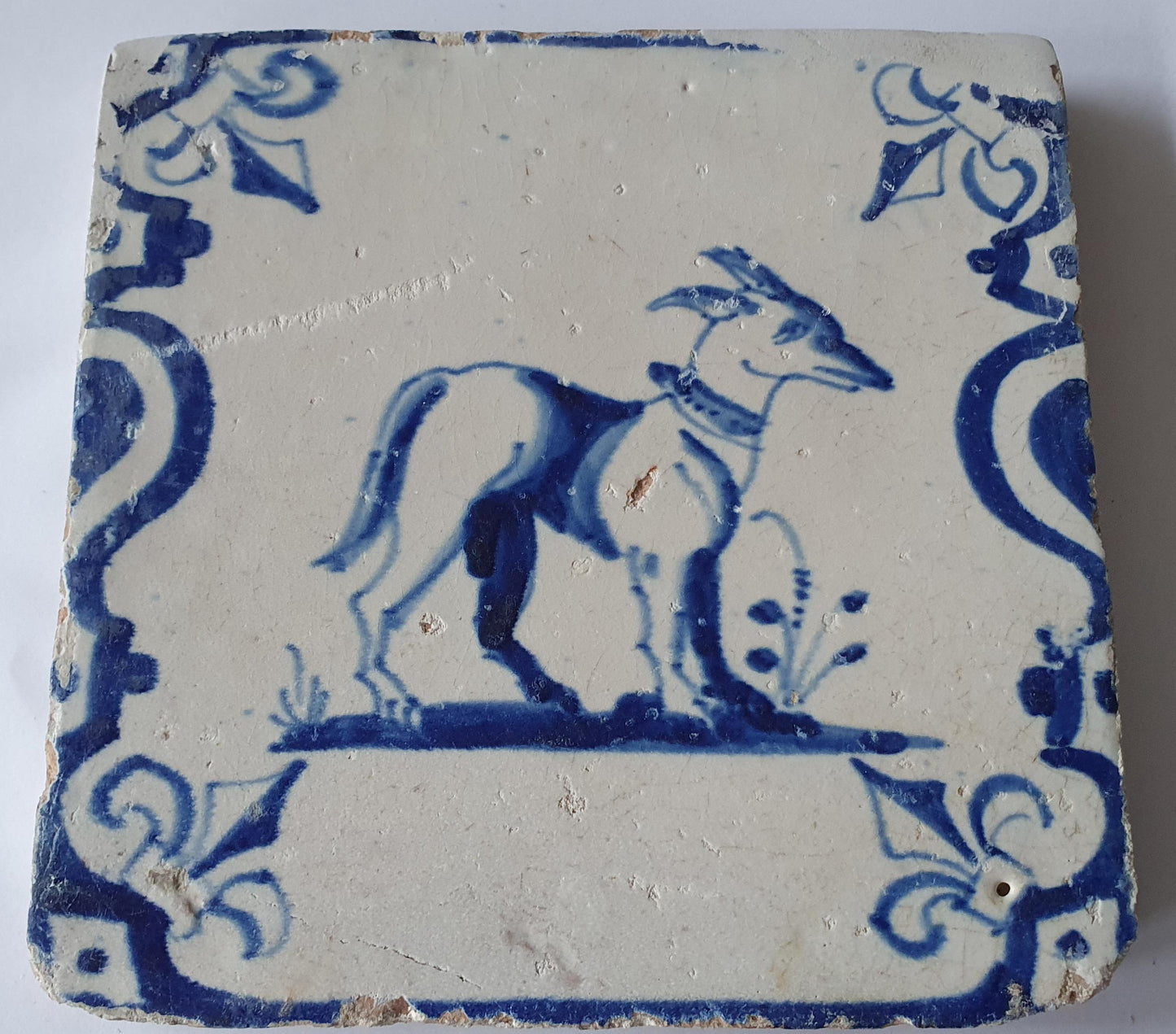 17th Century Dutch Delft Tile, Dog with Lily Corner Motive