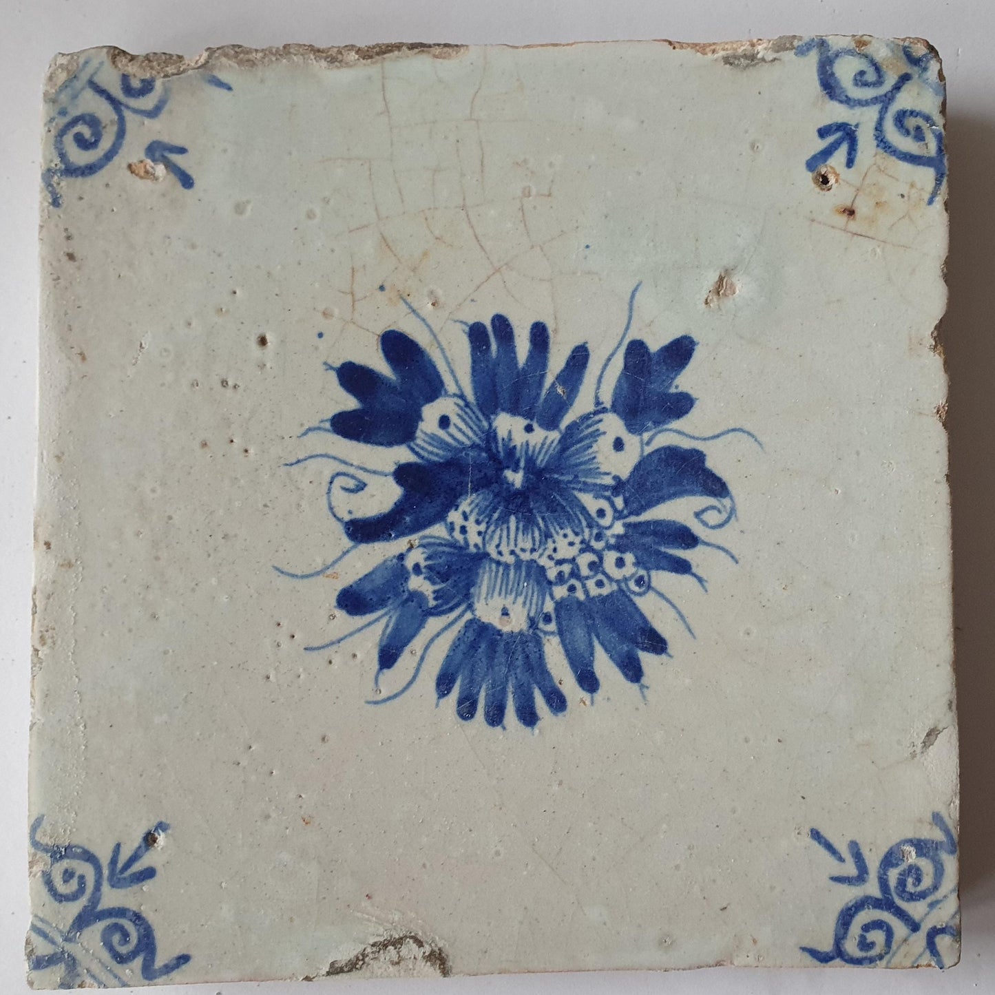 Antique Delft Tile, Fruit Motif, Oxhead Corners, c. 1630