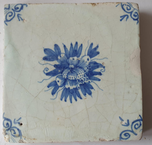 Antique Delft Tile, Fruits & Oxhead Motif, Circa 1630
