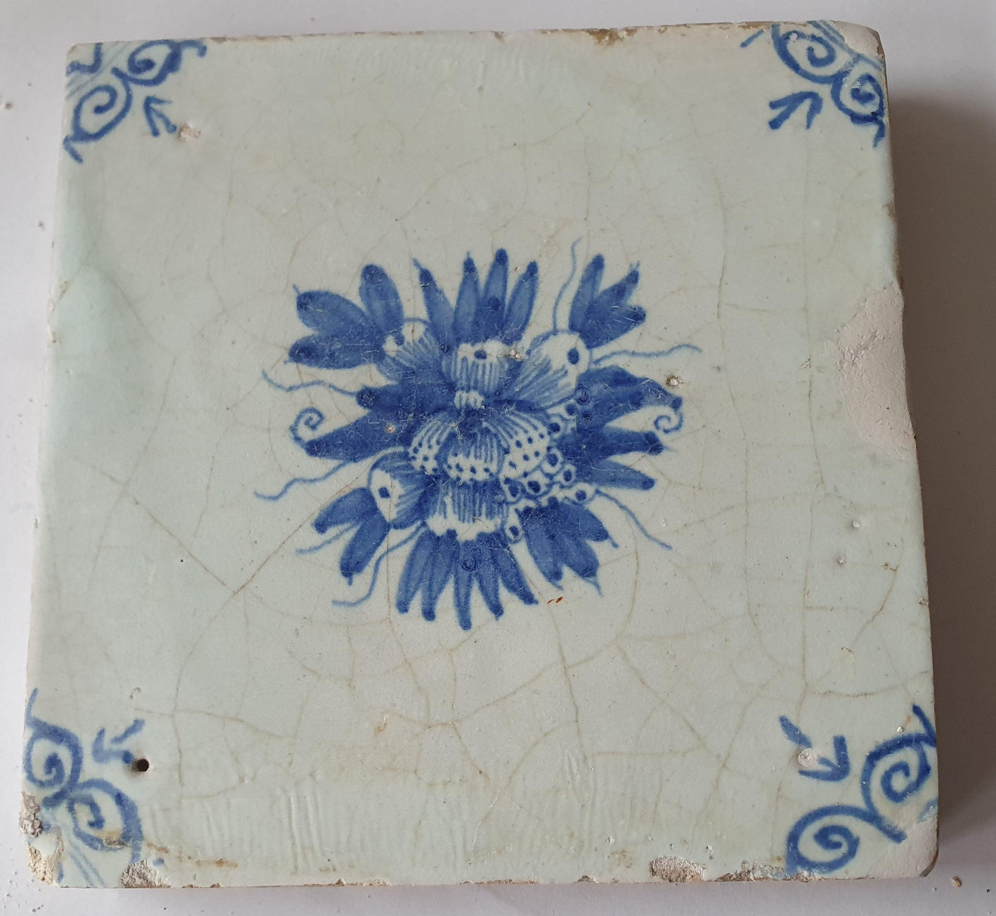 Antique Delft Tile, Fruits & Oxhead Motif, Circa 1630