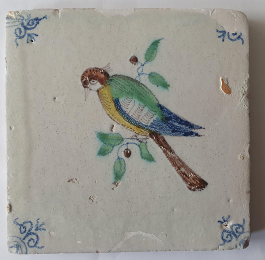 Antique Delft 17th century Tile, Colorful Bird, Dutch Majolica, circa 1640