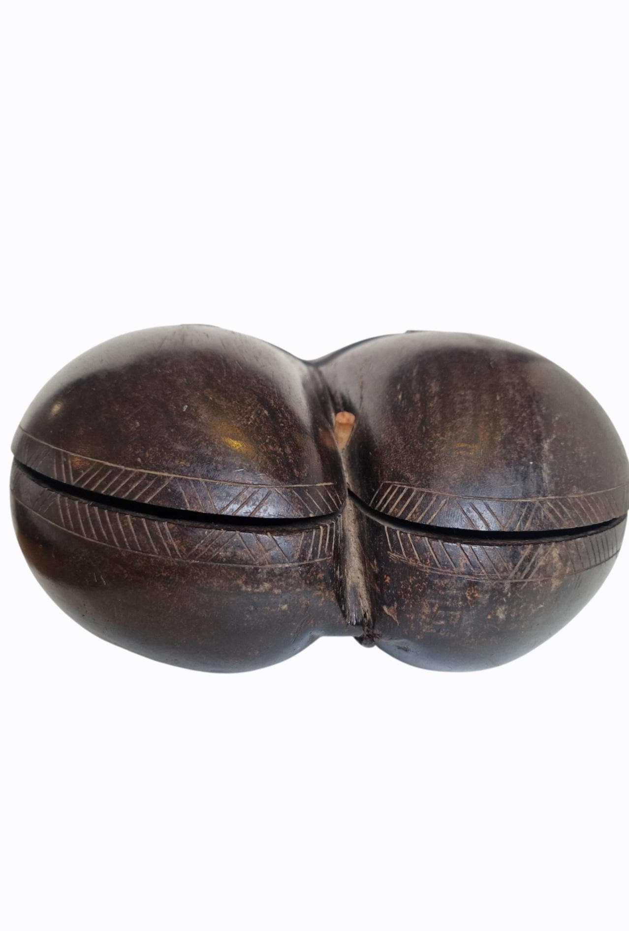 Polished Coco de Mer – Seychelles Double Coconut with Hidden Compartment