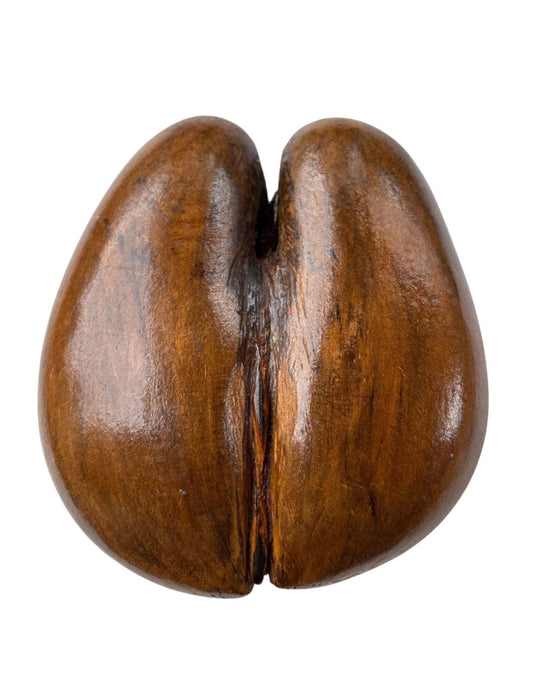 Polished Coco de Mer – Large Seychelles Coconut Sculpture, Exotic Decor basket
