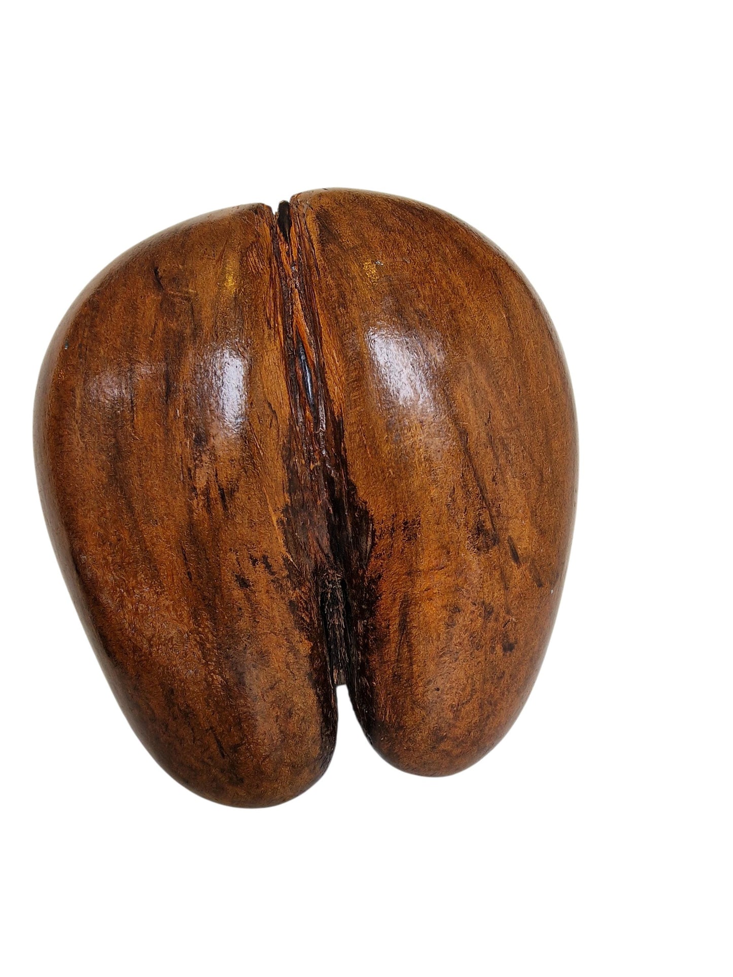 Polished Coco de Mer – Large Seychelles Coconut Sculpture, Exotic Decor basket