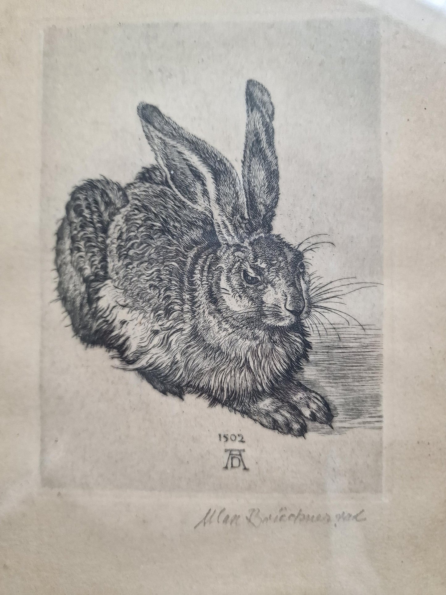 Max Brückner Hare Print – 1910s Vintage German Framed Artwork