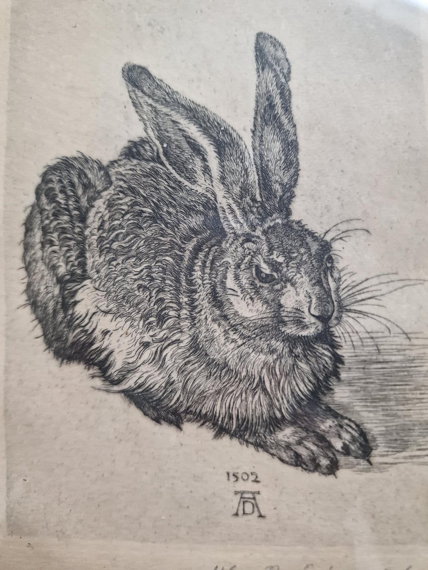 Max Brückner Hare Print – 1910s Vintage German Framed Artwork