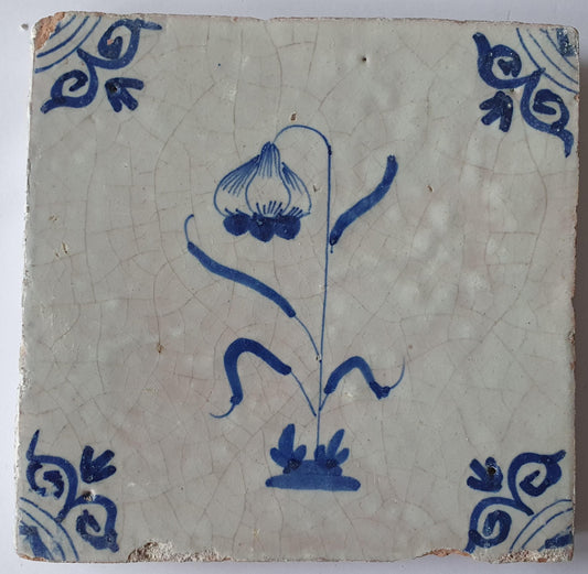 Deze  Delftse tegel toont een fraai geschilderde bloem en het blauw,  antieke Delft Blue Dutch 17e eeuw, verzameltegel, backsplash.