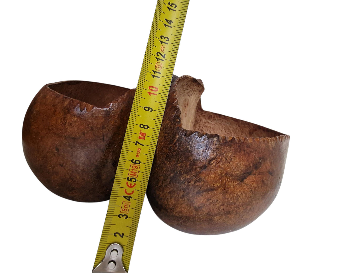 Polished Coco de Mer – Large Seychelles Coconut Sculpture, Exotic Decor basket