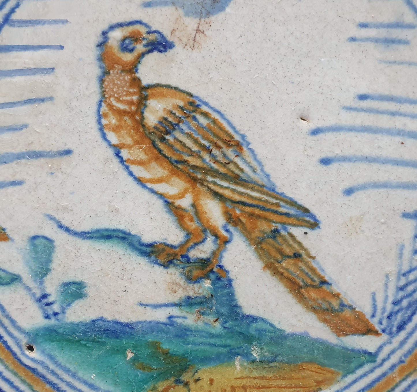 Deze zeldzame Delftse tegel uit de 17e eeuw, beschilderd rond 1620, toont een  roofvogel op een tak . ;  verzameltegel.