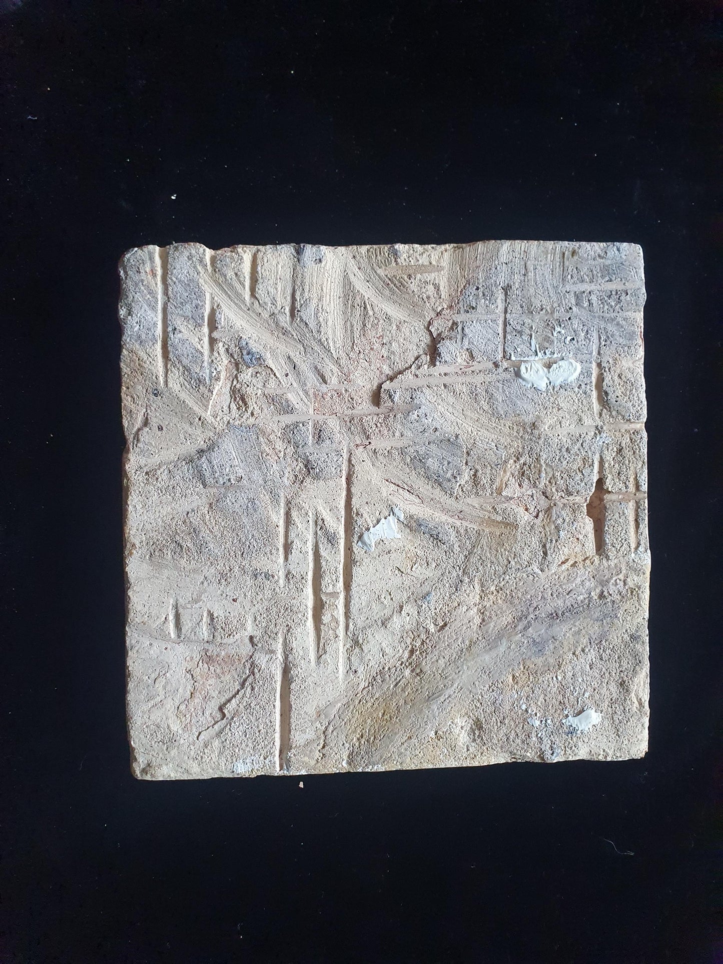 Deze zeldzame Delftse tegel uit de 17e eeuw, beschilderd rond 1620, toont een  roofvogel op een tak . ;  verzameltegel.