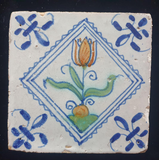 Een polychrome Hollandse tegel deze is gemaakt rond 1650 en toont een tulp in vierkant;  Dutch 17e eeuw, verzameltegel.