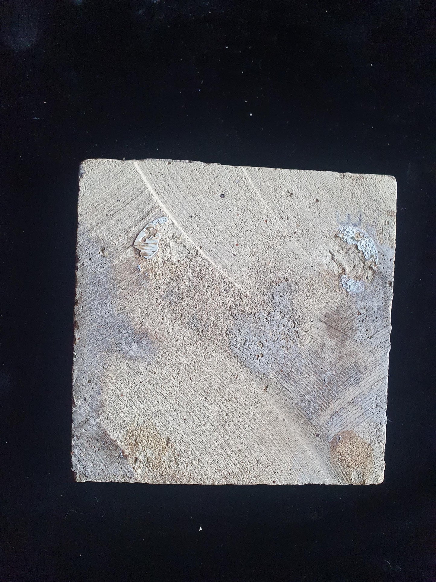Deze zeldzame Delftse tegel uit de 17e eeuw, beschilderd rond 1620, toont een ooiervaar met in zijn bek een paling. ;  verzameltegel.