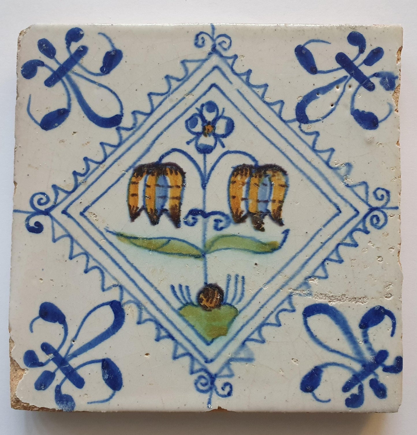 Een polychrome Hollandse tegel deze is gemaakt rond 1650 en toont een Fritillaria (Slangenkopbloem);  Dutch 17e eeuw, verzameltegel.