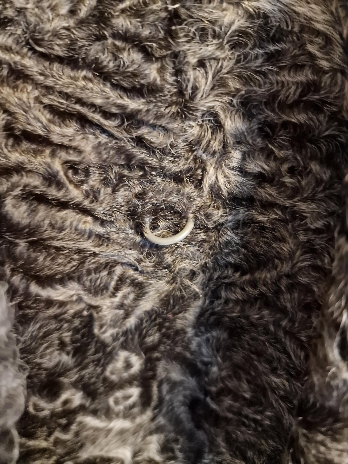 Vintage Karakul Lamb Fur Coat, Grey Brown Curly Fur, Women's M