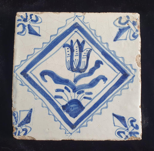 17th Century Dutch Delft Tulip Tile