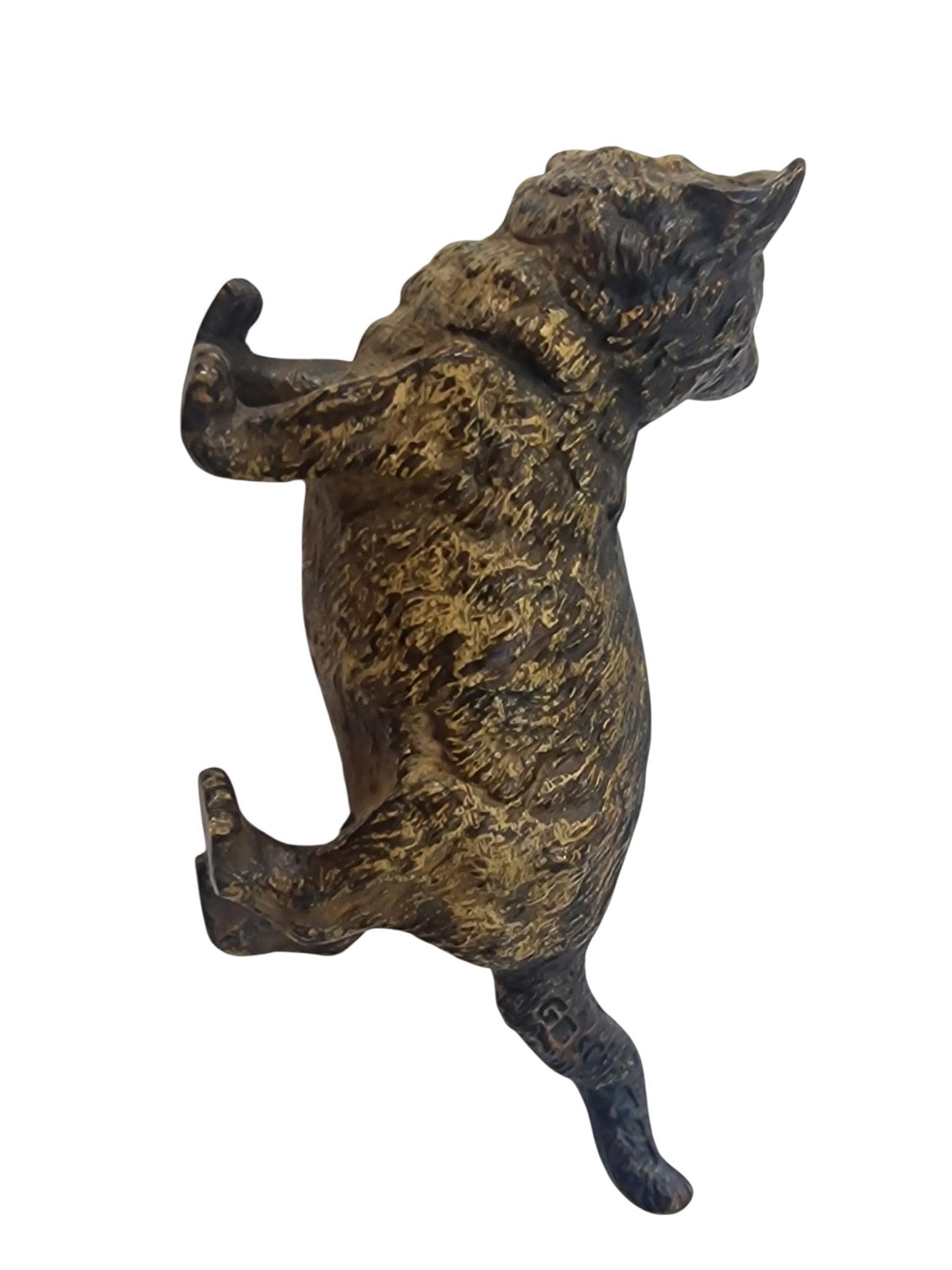 Vienna Bronze Cat Austria circa 1900 Cold Painted Bronze, antique austrian figurine