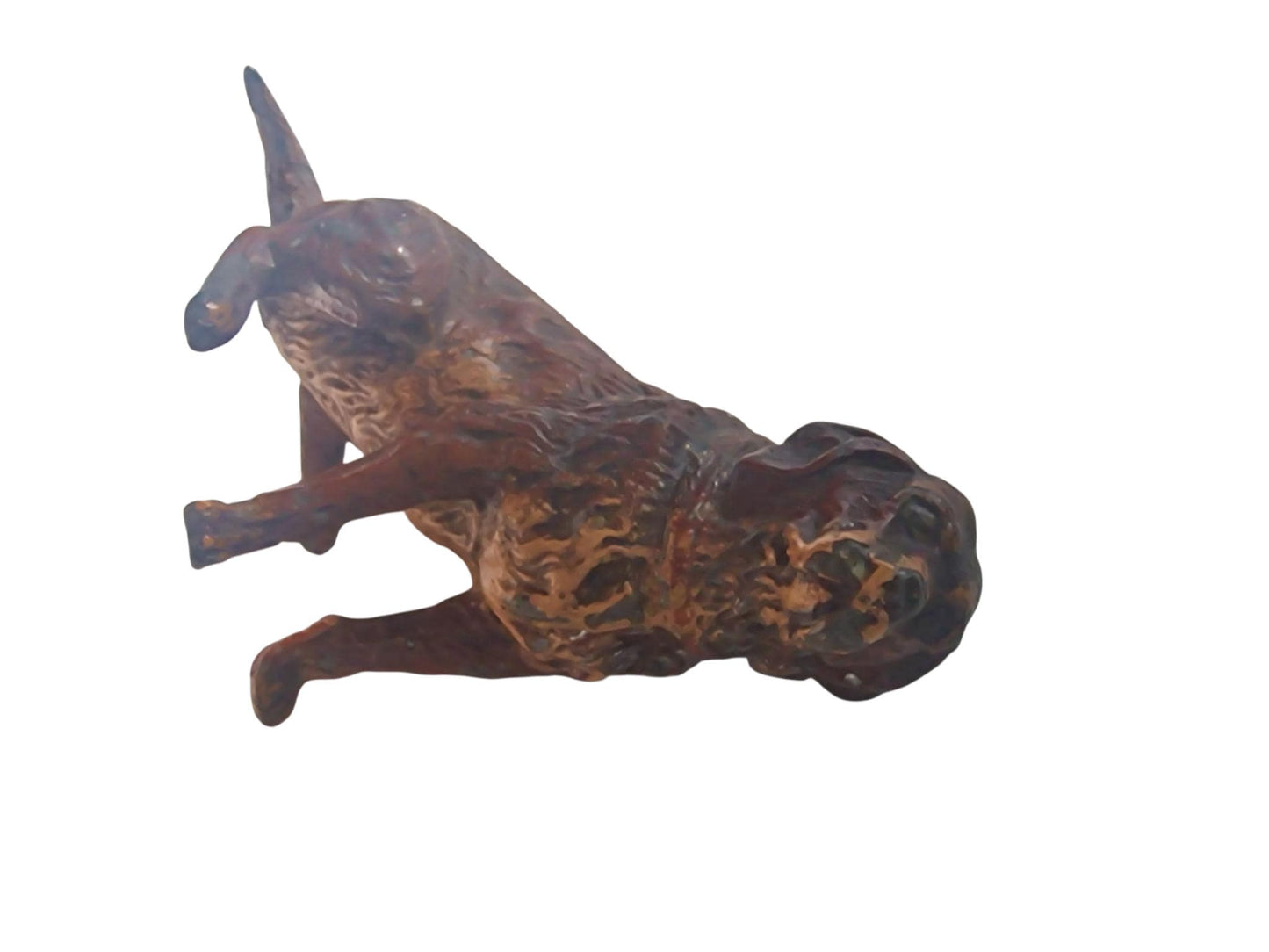 Vienna Bronze loyal Dog Austria circa 1900 Cold Painted Bronze, antique austrian figurine