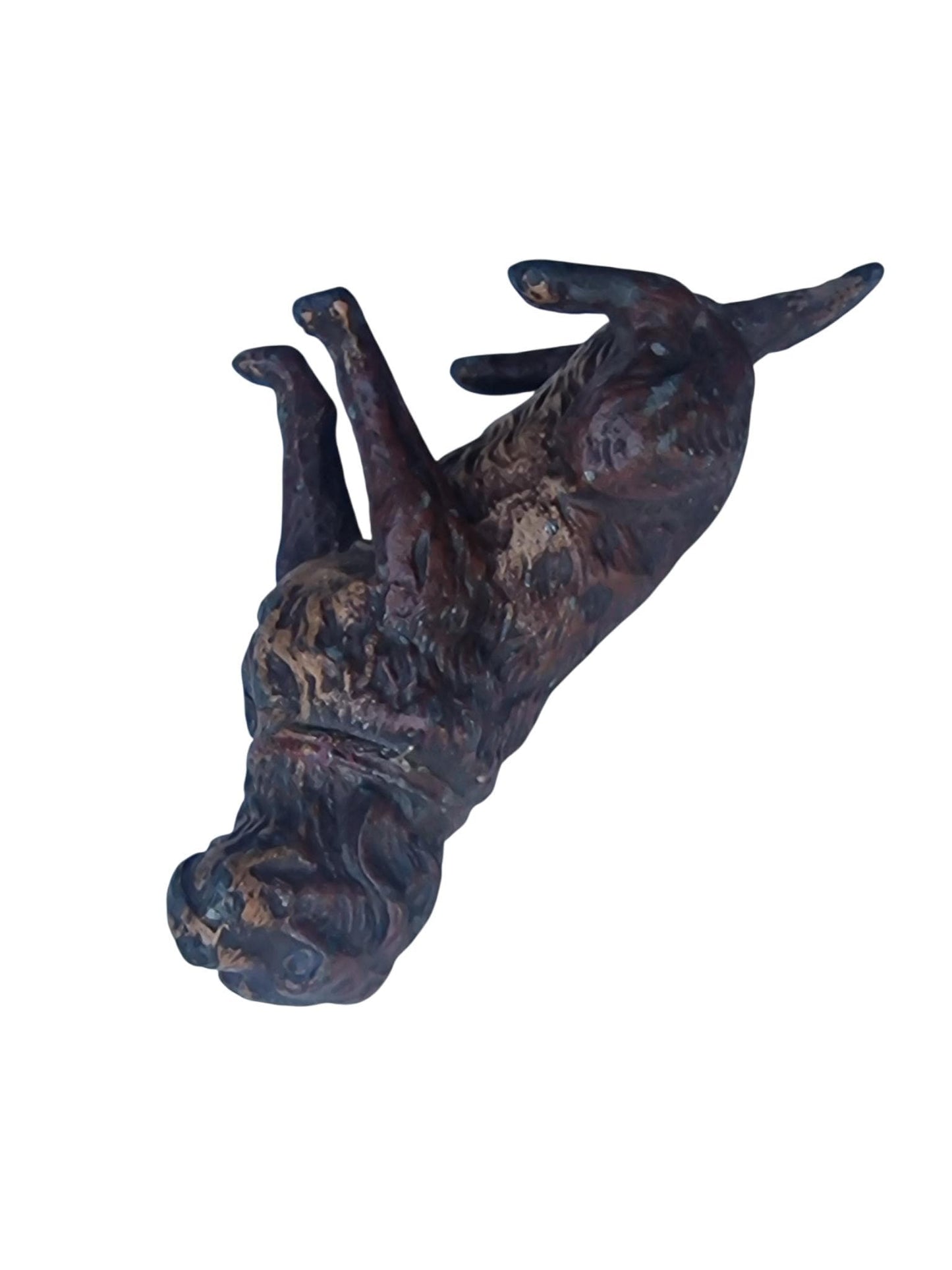 Vienna Bronze loyal Dog Austria circa 1900 Cold Painted Bronze, antique austrian figurine