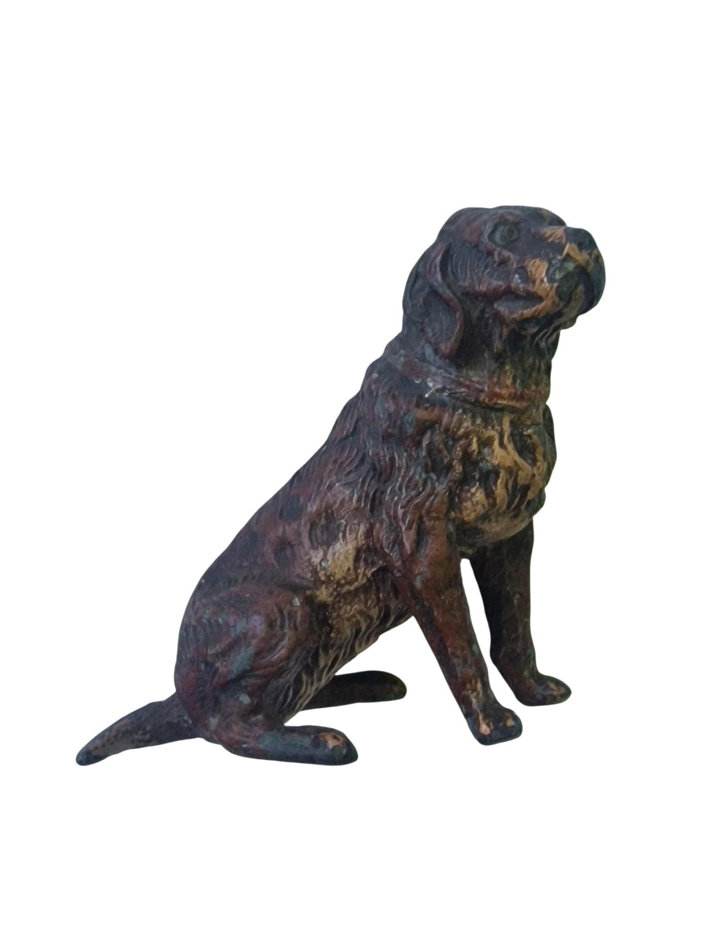 Vienna Bronze loyal Dog Austria circa 1900 Cold Painted Bronze, antique austrian figurine