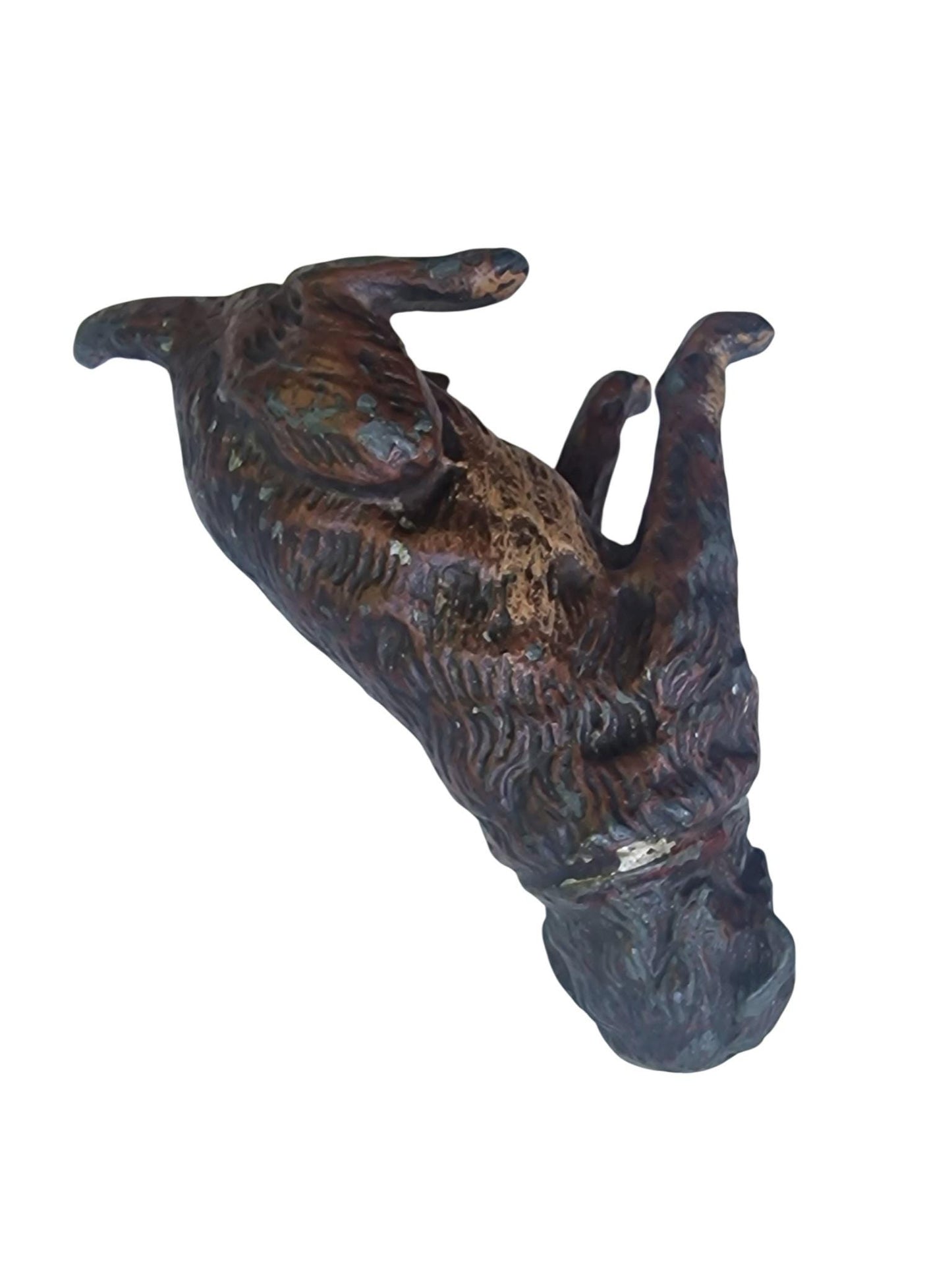 Vienna Bronze loyal Dog Austria circa 1900 Cold Painted Bronze, antique austrian figurine