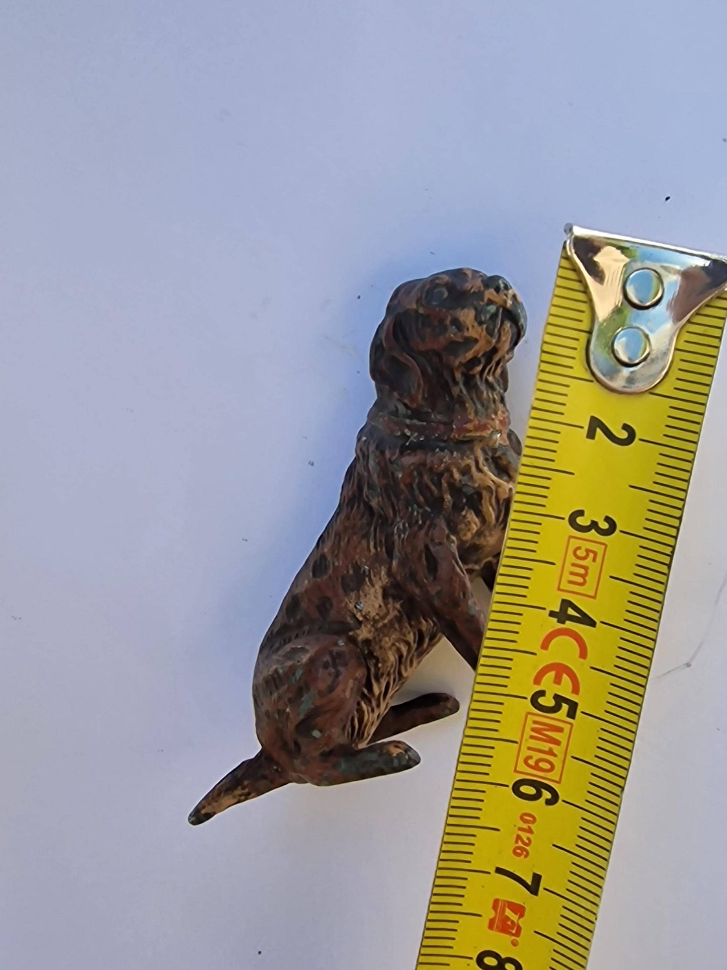 Vienna Bronze loyal Dog Austria circa 1900 Cold Painted Bronze, antique austrian figurine