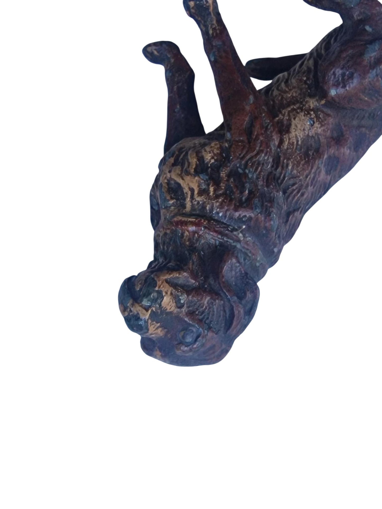 Vienna Bronze loyal Dog Austria circa 1900 Cold Painted Bronze, antique austrian figurine