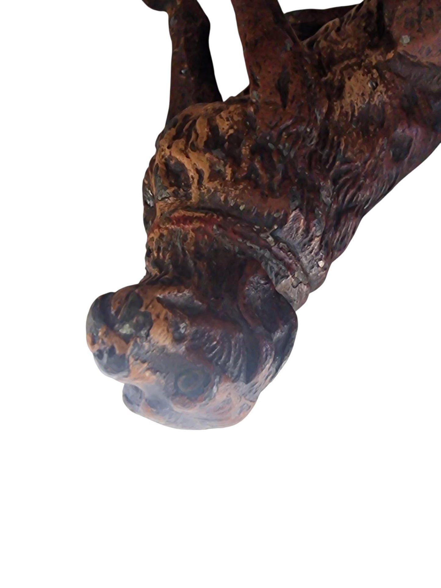Vienna Bronze loyal Dog Austria circa 1900 Cold Painted Bronze, antique austrian figurine