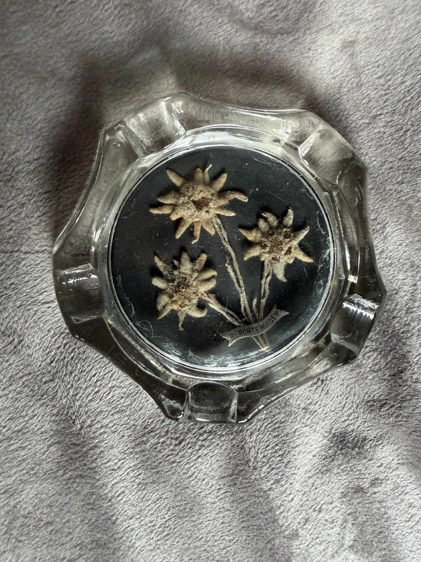 Berchtesgaden real edelweiss in glass ashtray sigar gentlemen conversationpiece