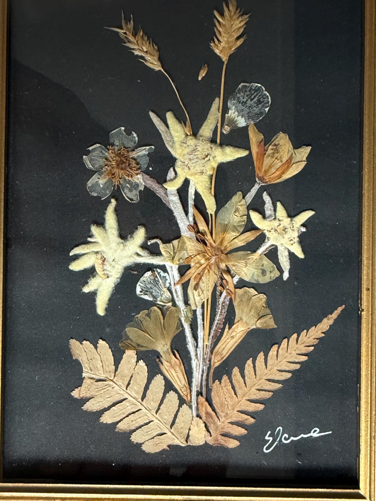 Vintage Edelweiss Painting, Mid-Century Alpen Floral Art, Framed midcentury handpicked alp bouquet