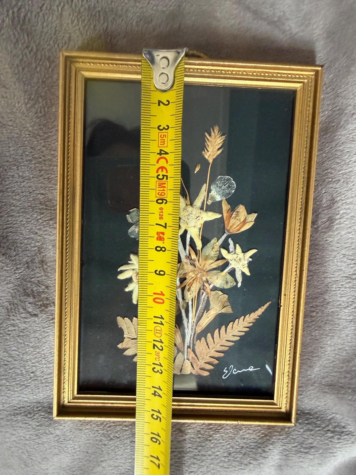 Vintage Edelweiss Painting, Mid-Century Alpen Floral Art, Framed midcentury handpicked alp bouquet