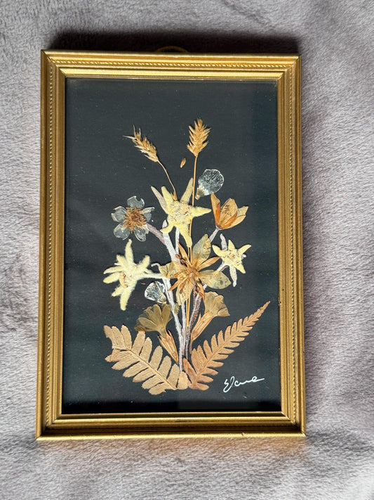 Vintage Edelweiss Painting, Mid-Century Alpen Floral Art, Framed midcentury handpicked alp bouquet