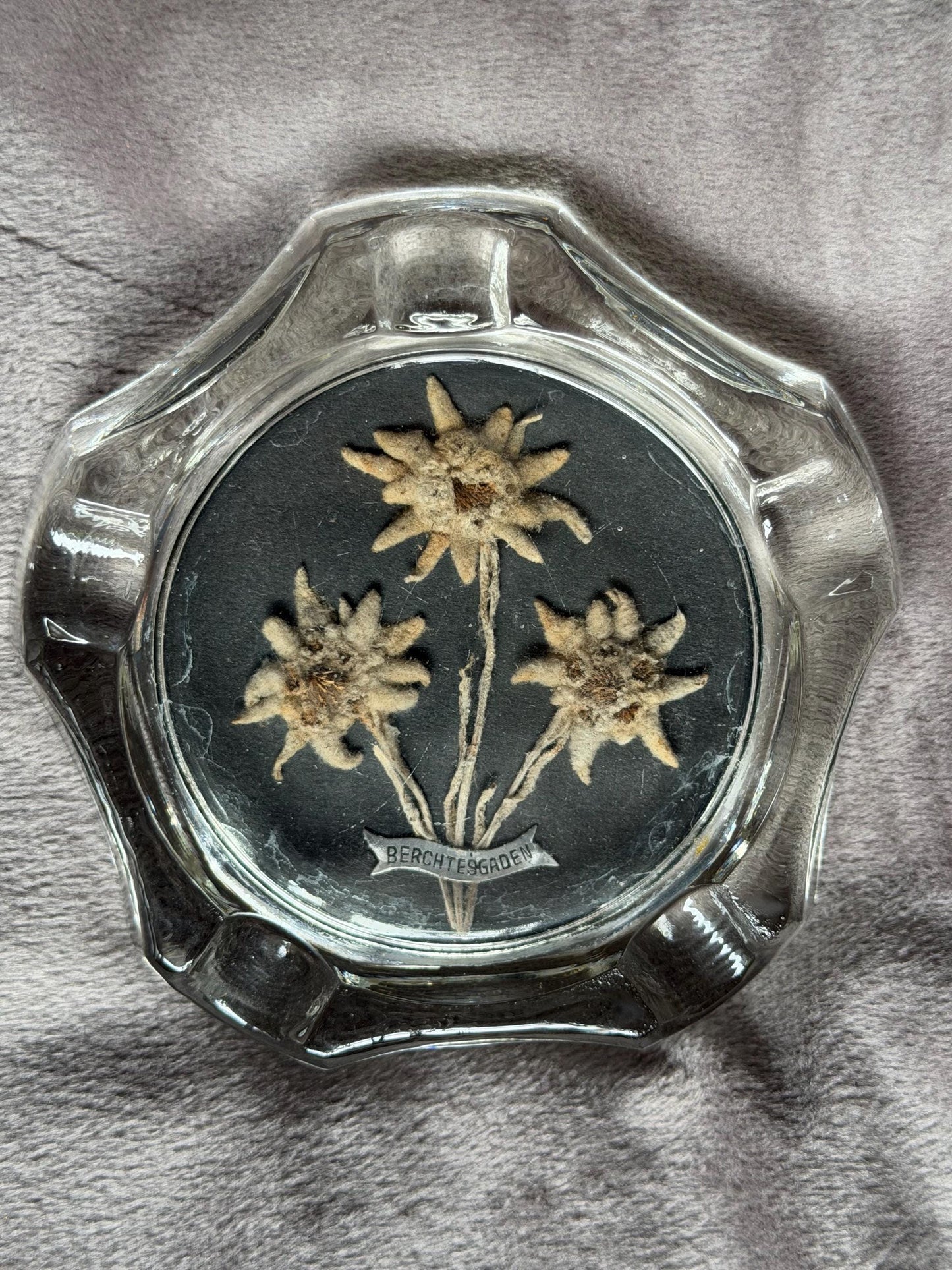 Berchtesgaden real edelweiss in glass ashtray sigar gentlemen conversationpiece
