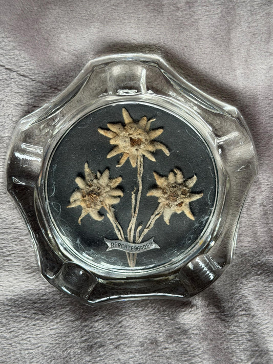 Berchtesgaden real edelweiss in glass ashtray sigar gentlemen conversationpiece