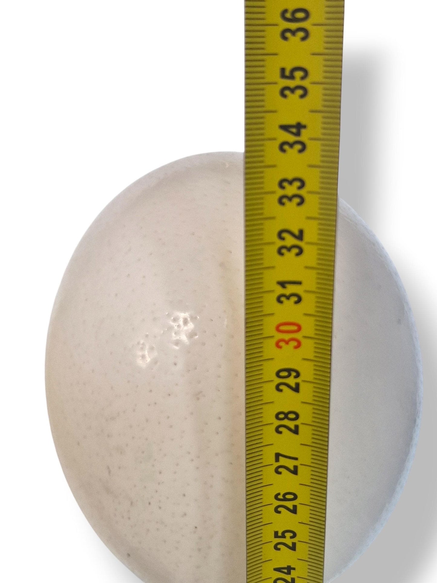 A set of 2 34 cm large Art Nouveau Bronze Ostrich Eggs, Austrian Fauvism Decor, 34 cm