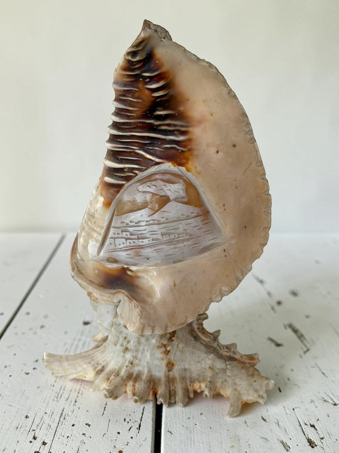 1 Schelplamp vintage camee lamp gestoken shell lamp, 2 available