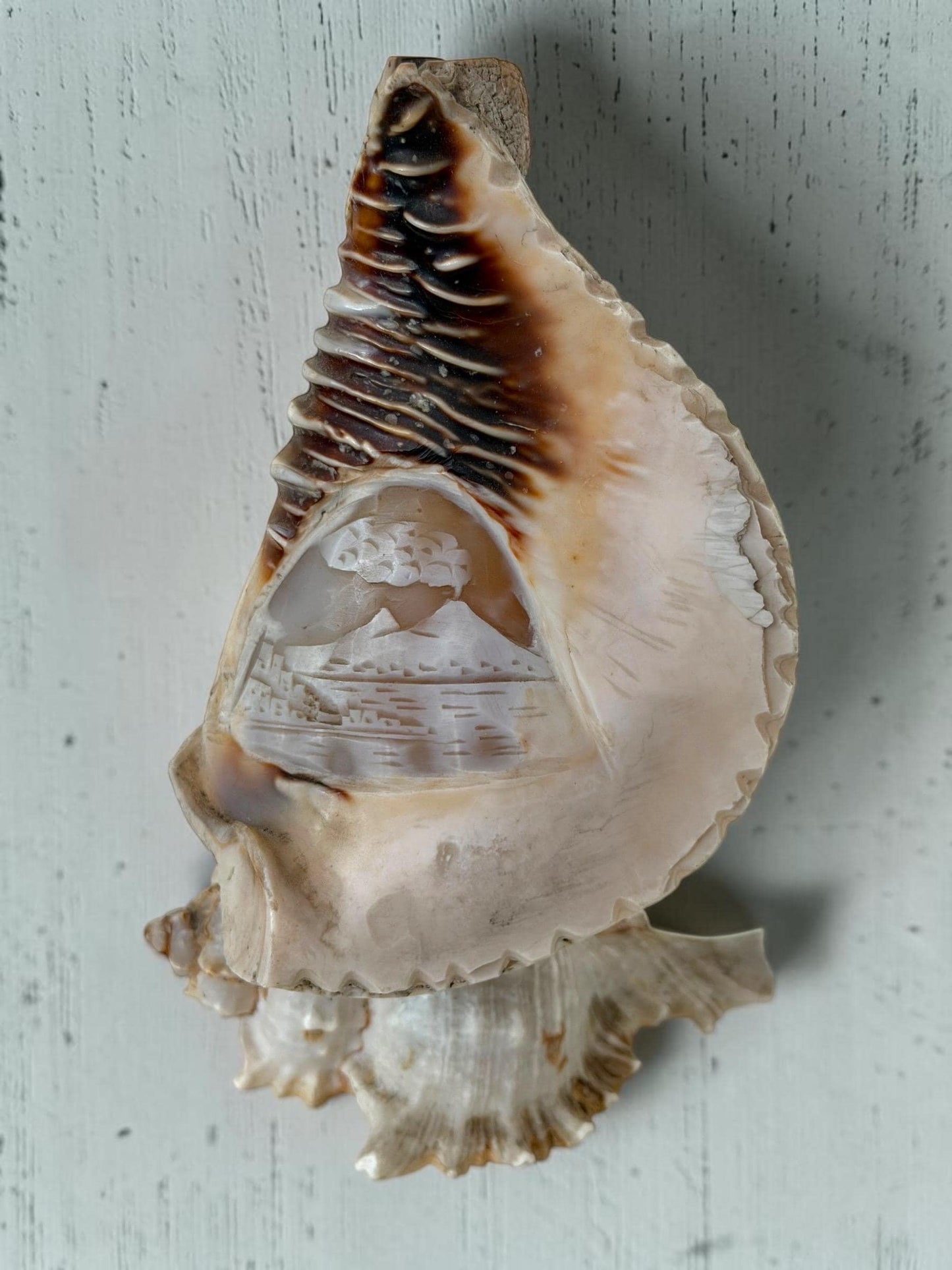 Schelplamp vintage camee lamp gestoken shell lamp