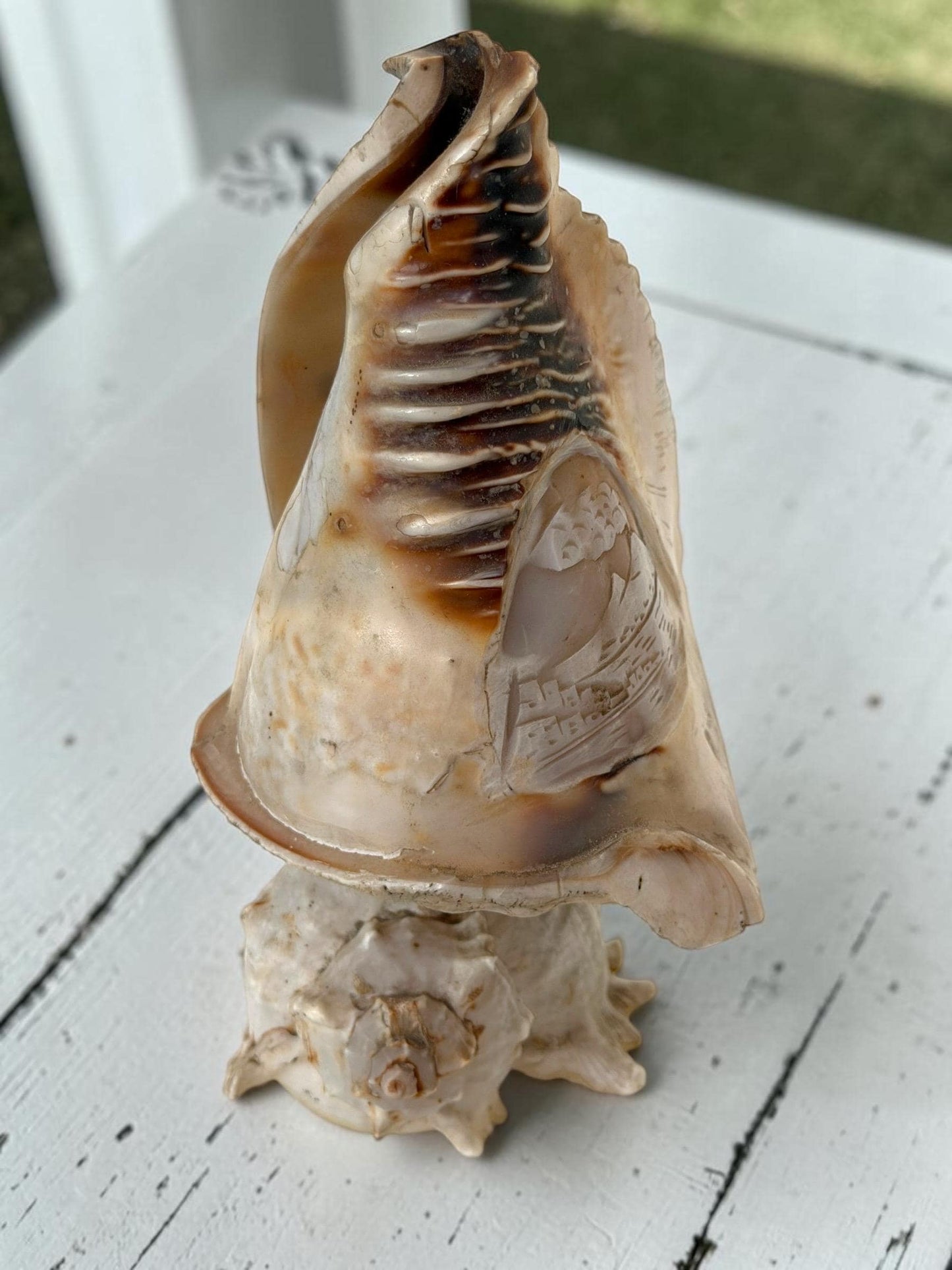 Schelplamp vintage camee lamp gestoken shell lamp